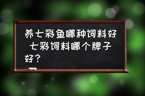 七彩神仙鱼饲料营养搭配，七彩神仙鱼饲料营养搭配策略：七彩神仙鱼饲料营养搭配要点 观赏鱼市场（混养鱼） 第2张