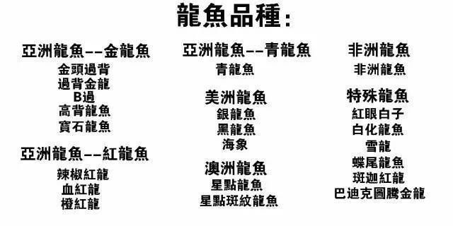 龙鱼一共有几个品种最平的是那种，红尾金龙与过背金龙的区别 龙鱼百科 第2张