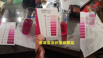 如何监测水族箱中的氨氮含量，氨氮快速测定试剂盒使用教程 观赏鱼市场（混养鱼） 第5张