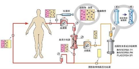 红龙鱼活体鱼怎么养殖视频 水族问答