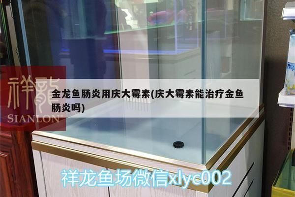 龙鱼缸里有白色絮状物怎么回事，如何识别和处理龙鱼缸里的白色絮状物 水族问答