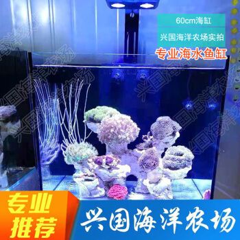 兴国海（Singoseafarm）鱼缸，兴国海（singoseafarm）海水鱼缸套装价格对比 鱼缸百科 第4张