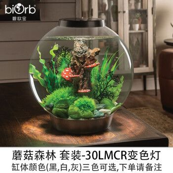 biOrb鱼缸，biorb鱼缸的优势 鱼缸百科 第2张