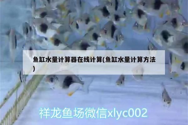 金龙鱼鱼缸要求多少升水 鱼缸百科 第5张