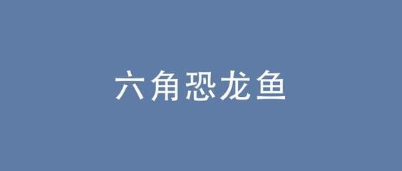 恐龙鱼 寿命，六角恐龙鱼的寿命通常在10到15年左右 龙鱼百科 第3张