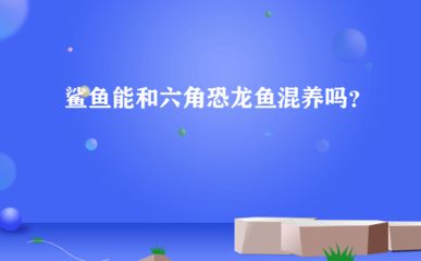 恐龙鱼 寿命，六角恐龙鱼的寿命通常在10到15年左右 龙鱼百科 第5张