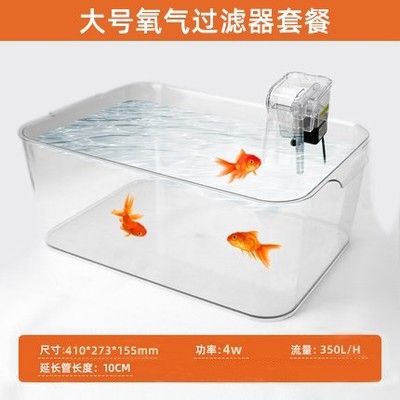 恐龙鱼适合在多大的缸里养，关于恐龙鱼适合的水族缸尺寸的信息 龙鱼百科 第4张