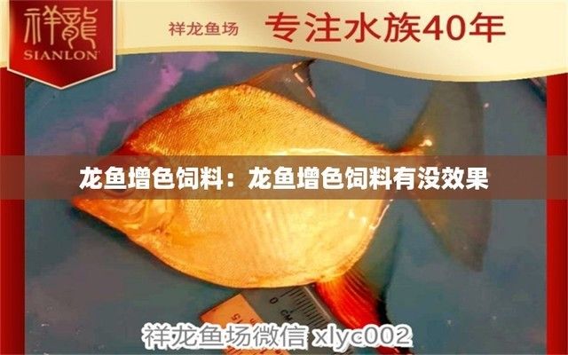 龙鱼饲料对色彩的影响 观赏鱼市场（混养鱼） 第2张