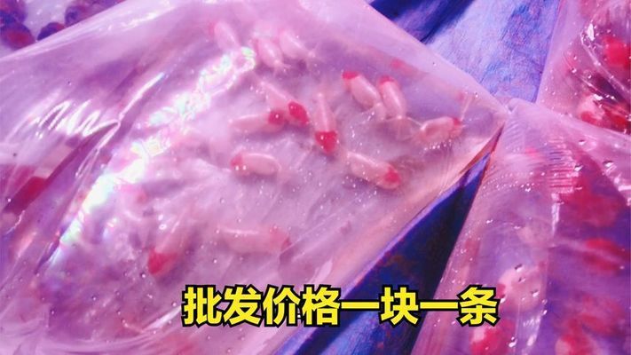 龙鱼多大可以吃蜈蚣，龙鱼在什么年龄阶段最适合吃蜈蚣？ 水族问答