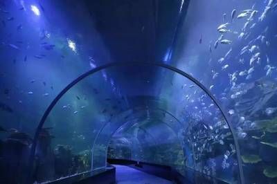 南宁水族馆，中国广西壮族自治区南宁市一个大型水族馆旨在展示和保护各种海洋生物 鱼缸百科 第3张