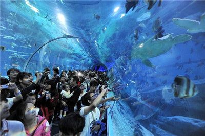 南宁水族馆，中国广西壮族自治区南宁市一个大型水族馆旨在展示和保护各种海洋生物 鱼缸百科 第5张