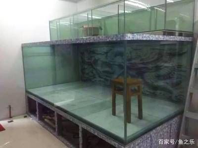 魟鱼适宜的水族箱尺寸，魟鱼水族箱布置技巧,如何选择合适的水族箱布置