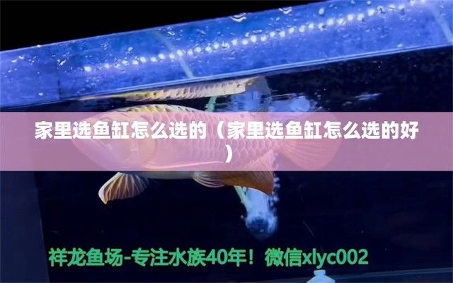 选择鱼缸 鱼缸百科 第4张