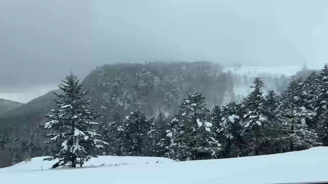 高山雪，高山雪是一种特殊的自然现象 观赏鱼论坛