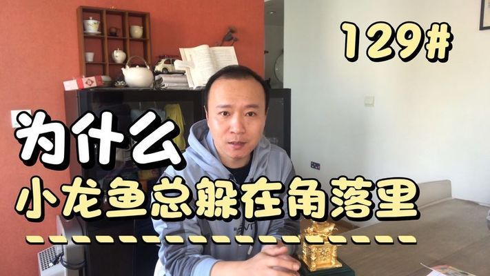 龙鱼老孙被同行质疑 龙鱼百科 第5张