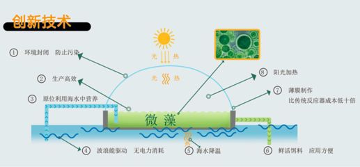 如何有效去除养殖水中的氨氮，养殖水中氨氮的重要性和方法，掌握有效的去除方法至关重要 观赏鱼市场（混养鱼） 第3张