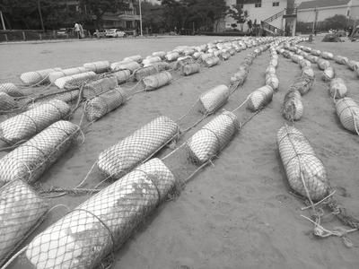 电磁防鲨器的工作原理，电磁防鲨器对海洋生物影响 观赏鱼市场（混养鱼） 第1张