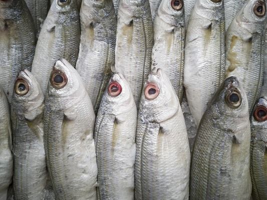 鱼缸品牌排行前十的是哪些，鱼缸品牌性价比对比水族箱品牌售后服务水族器材选购指南 鱼缸百科 第5张