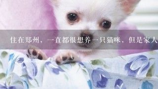 龙鱼虎鱼混养尺寸多少好养，混养龙鱼和虎鱼混养的初期阶段应注意哪些问题以避免伤害