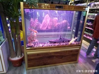 办公室风水鱼缸的摆放方位 鱼缸百科 第1张