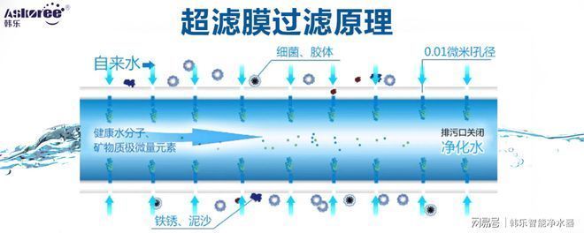 滤材堵塞对水质的影响，滤材堵塞对水质的影响以及如何有效预防和解决这一问题 观赏鱼市场（混养鱼） 第5张