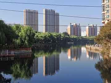 沈阳红龙鱼批发市场在哪，沈阳红龙鱼批发市场 龙鱼百科 第1张