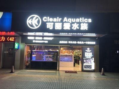 龙鱼老孙水族用品店，龙鱼老孙水族用品 龙鱼百科 第4张