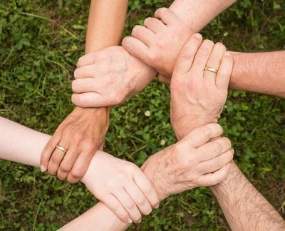 球鲨鱼的繁殖方式，球鲨鱼卵生与卵胎生的区别 观赏鱼市场（混养鱼） 第3张