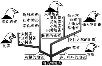 大嘴鲸鱼繁殖期如何调节水质？，大嘴鲸鱼繁殖期ph值管理策略大嘴鲸鱼繁殖期水温控制技巧 观赏鱼市场（混养鱼） 第2张