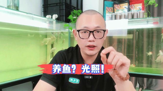 宝石鱼苗光照周期设置，宝石鱼苗光照周期设置方法 观赏鱼市场（混养鱼） 第1张