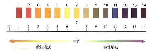 南京龙鱼文化传媒有限公司电话多少啊，南京龙鱼文化传媒有限公司的电话号码是多少？ 水族问答