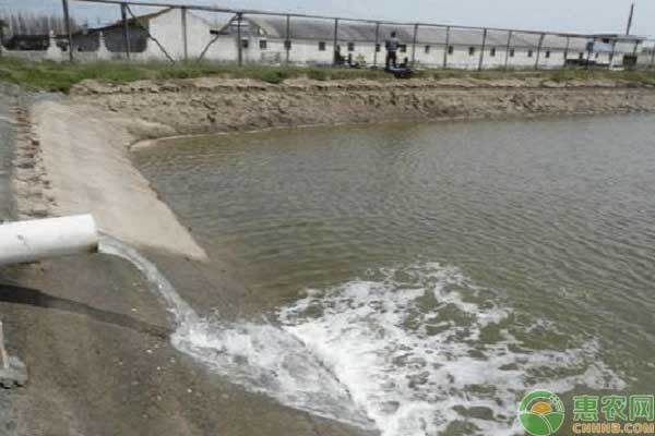 防止水族箱青苔生长方法，如何防止水族箱青苔生长 观赏鱼市场（混养鱼） 第3张