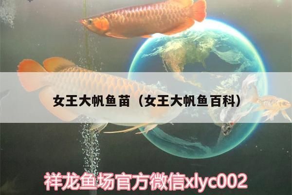 女王大帆鱼苗专用饲料配方，女王大帆鱼苗专用饲料配方饲料配方的信息可供参考 观赏鱼市场（混养鱼） 第2张