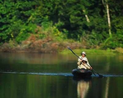 亚马逊河鱼类多样性，世界上生物多样性最丰富的河流之一亚马逊河鱼类多样性正面临威胁 观赏鱼市场（混养鱼） 第5张