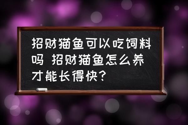 招财猫鱼苗饲料选择指南，招财猫鱼苗饲料添加剂选择,招财猫鱼苗饲料喂食频率