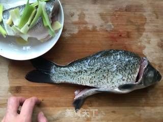 狗头鱼食物偏好的研究，狗头鱼食物偏好对饲养者来说至关重要，狗头鱼食物偏好的研究 观赏鱼市场（混养鱼） 第2张