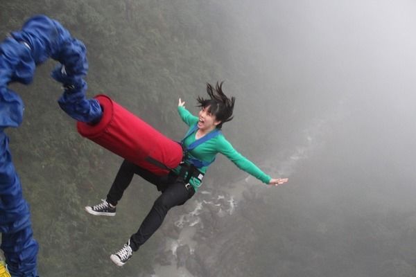 成吉思汗鲨繁殖期营养需求，成吉思汗鲨繁殖期的营养需求分析 观赏鱼市场（混养鱼） 第4张