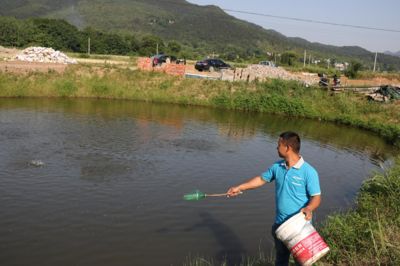 鸭嘴鱼养殖水质管理技巧，鸭嘴鱼养殖水质管理技巧：鸭嘴鱼的养殖水质管理技巧