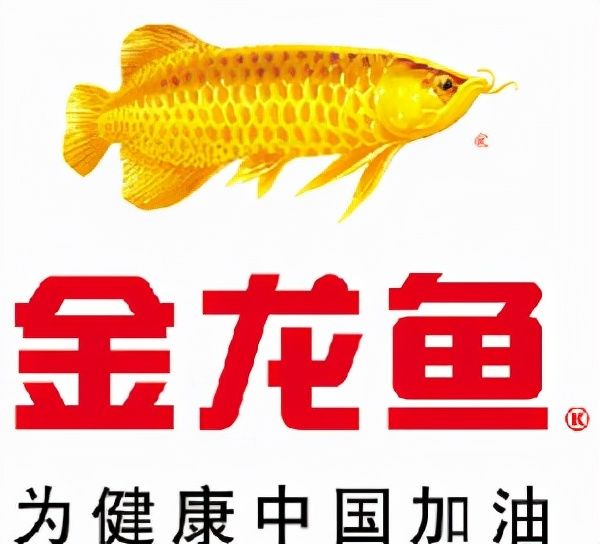 金龙鱼怎么打开，如何打开金龙鱼食用油瓶盖 龙鱼百科 第4张