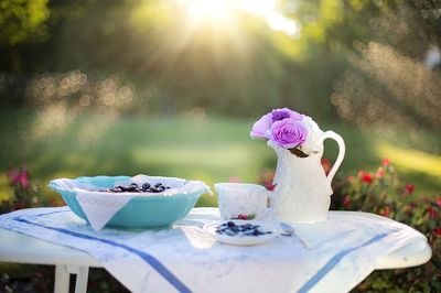 黄宽带蝴蝶鱼适宜的水温范围，黄宽带蝴蝶鱼适宜水温范围