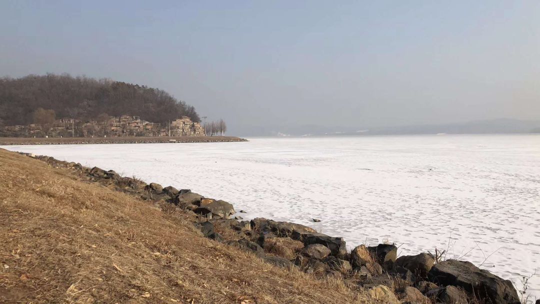 池塘水深对水温影响研究，水深对水温的影响 观赏鱼市场（混养鱼） 第1张