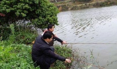 池塘水深对水温影响研究，水深对水温的影响 观赏鱼市场（混养鱼） 第3张