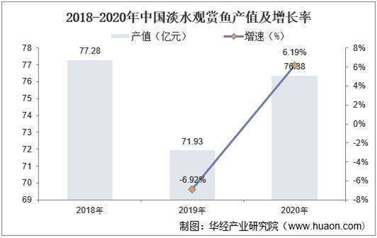 v祥龙鱼场，v祥龙鱼场主要养殖什么类型的鱼苗质量如何保证 水族问答