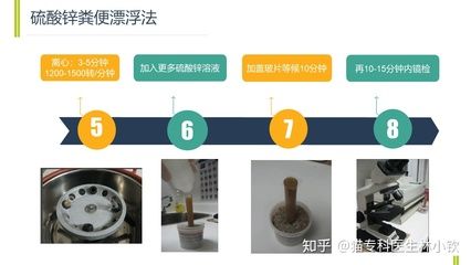 鞭毛虫病粪便检测的准确性，如何提高鞭毛虫病粪便检测准确性