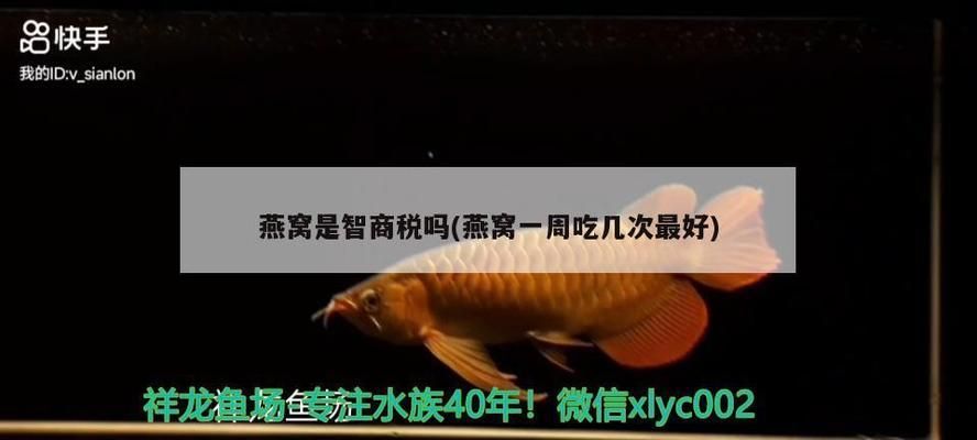 一眉道人鱼苗成长期水质管理，一眉道人鱼苗成长期水质管理的关键点