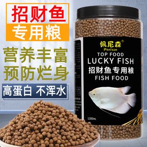 招财战船鱼饲料种类推荐 观赏鱼市场（混养鱼） 第3张