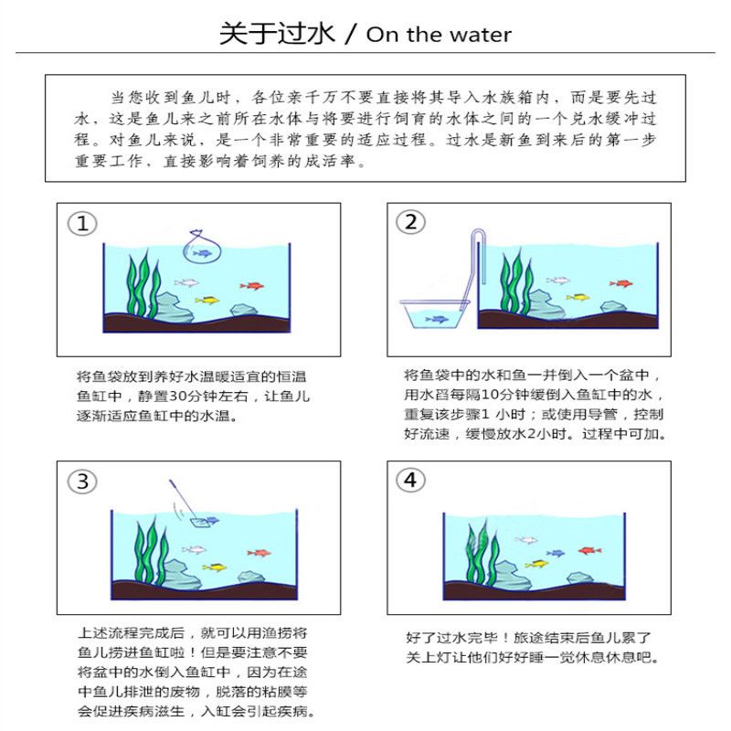 丹顶锦鲤换水后观察要点，换水后需要观察的几个要点 观赏鱼市场（混养鱼） 第4张