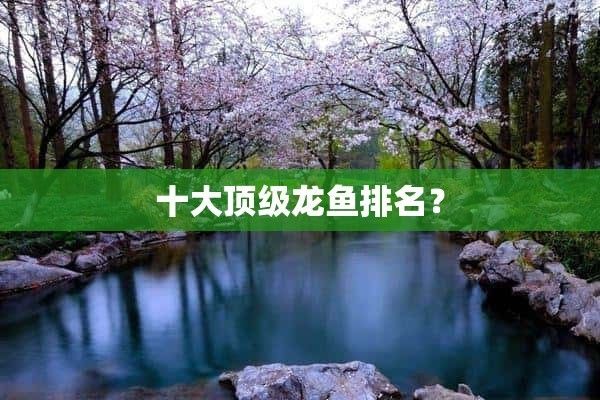 什么龙鱼好，哪些龙鱼是比较好养的？ 龙鱼百科 第2张