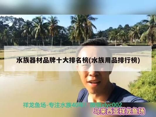 祥龙水族器材价格对比，祥龙水族器材用户评价 观赏鱼市场（混养鱼） 第3张