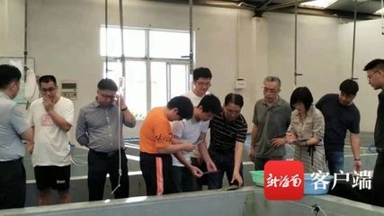 银古鱼苗日常健康管理，银古鱼苗日常健康管理至关重要以确保其健康成长 观赏鱼市场（混养鱼） 第5张